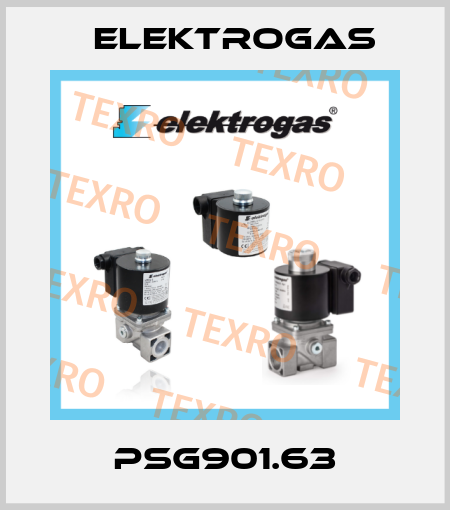 PSG901.63 Elektrogas
