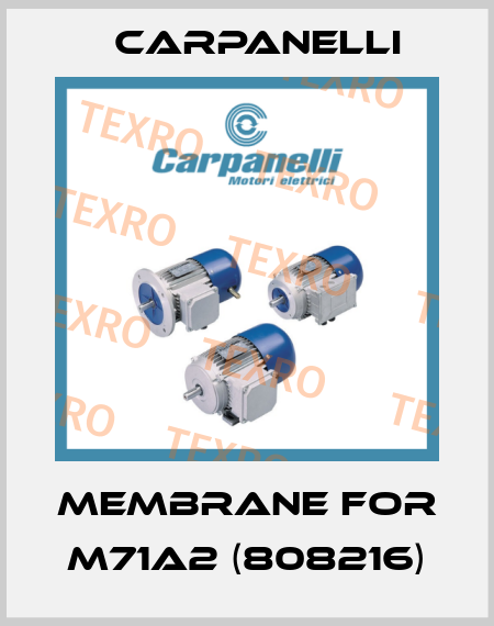 Membrane for M71A2 (808216) Carpanelli