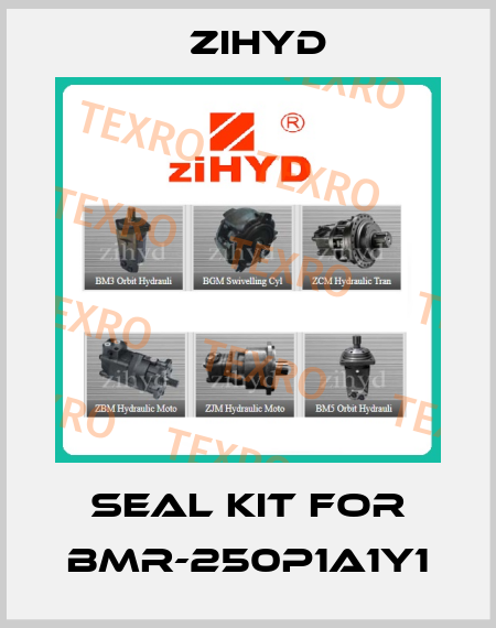 Seal Kit for BMR-250P1A1Y1 ZIHYD