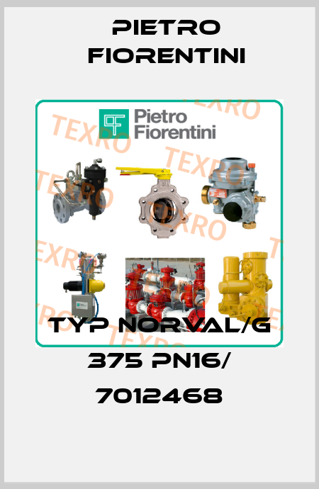 Typ NORVAL/G 375 PN16/ 7012468 Pietro Fiorentini