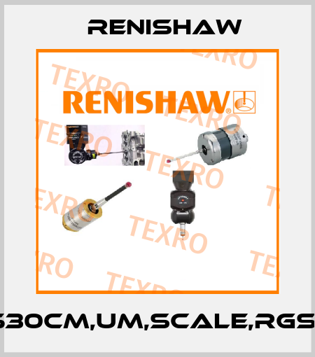 P/N:530cm,UM,Scale,RGS20-S Renishaw