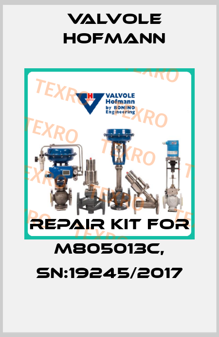 repair kit for M805013C, sn:19245/2017 Valvole Hofmann