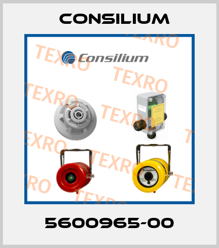 5600965-00 Consilium
