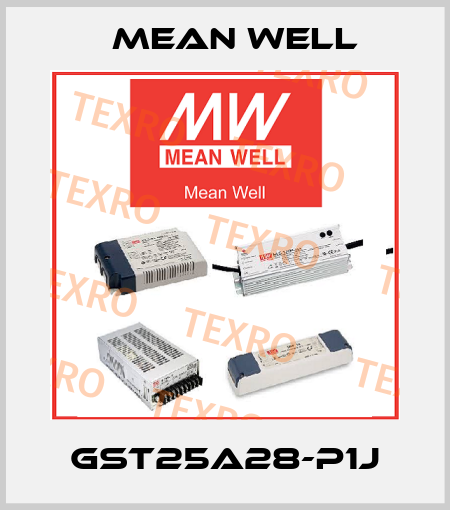GST25A28-P1J Mean Well