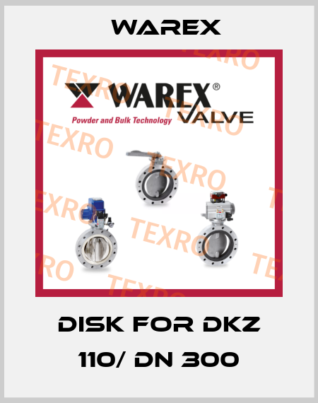 Disk for DKZ 110/ DN 300 Warex