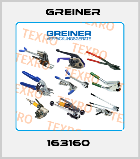 163160  Greiner