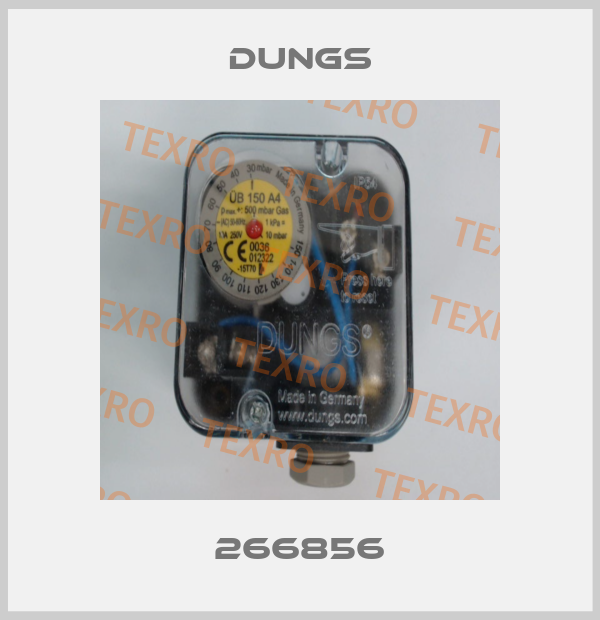 266856 Dungs