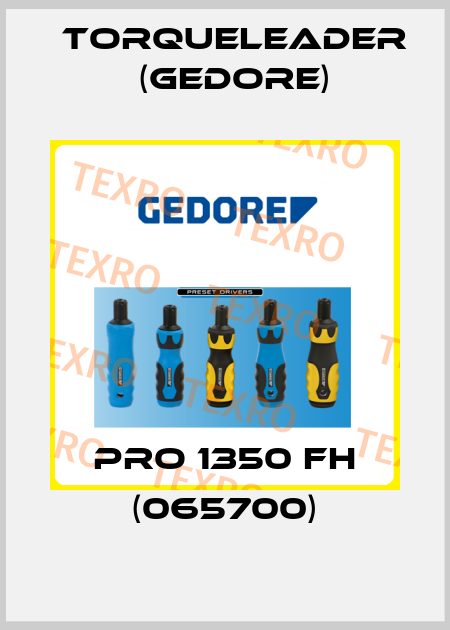 PRO 1350 FH (065700) Torqueleader (Gedore)