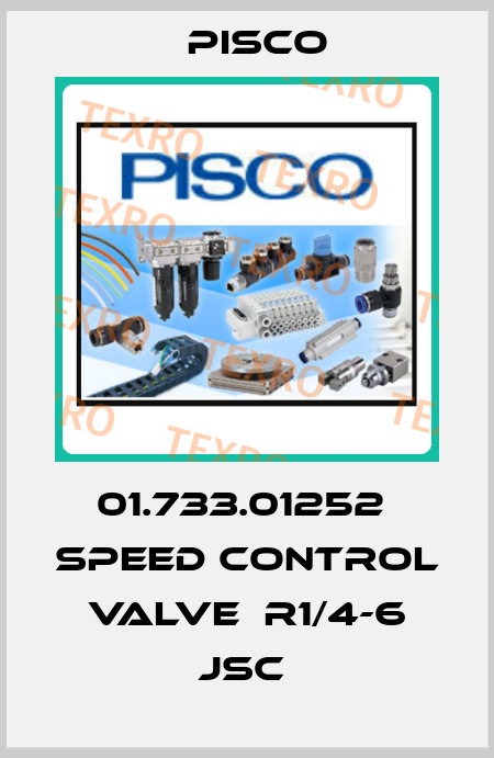 01.733.01252  speed control valve  R1/4-6 JSC  Pisco