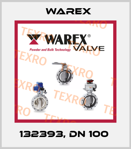 132393, DN 100  Warex