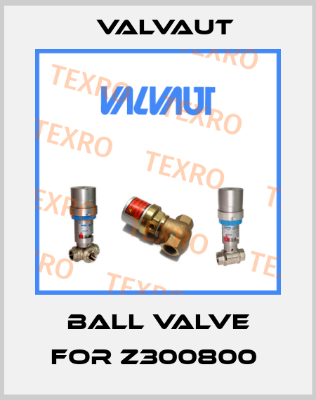 ball valve for Z300800  Valvaut