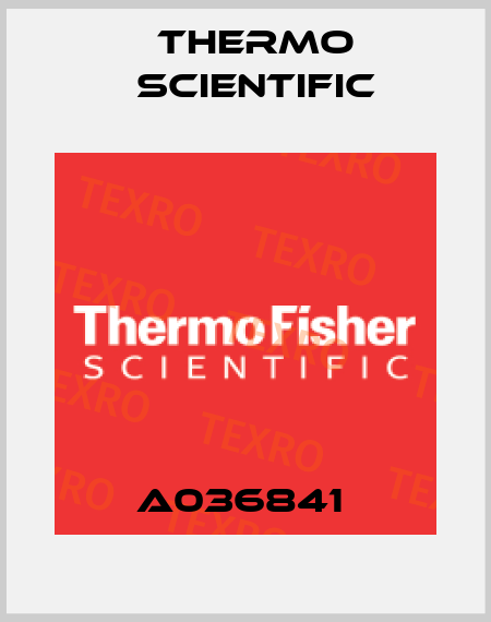 A036841  Thermo Scientific