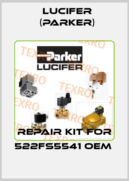 Repair kit for 522FS5541 OEM  Lucifer (Parker)