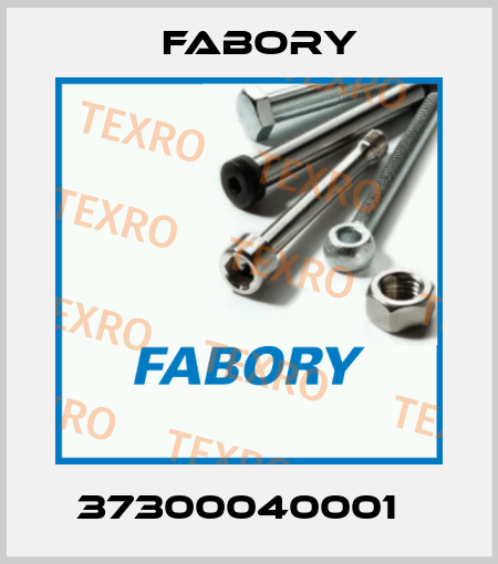 37300040001   Fabory