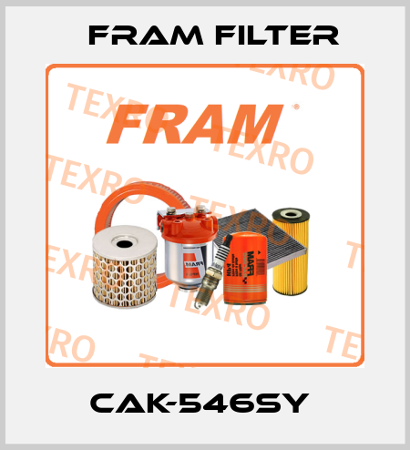 CAK-546SY  FRAM filter