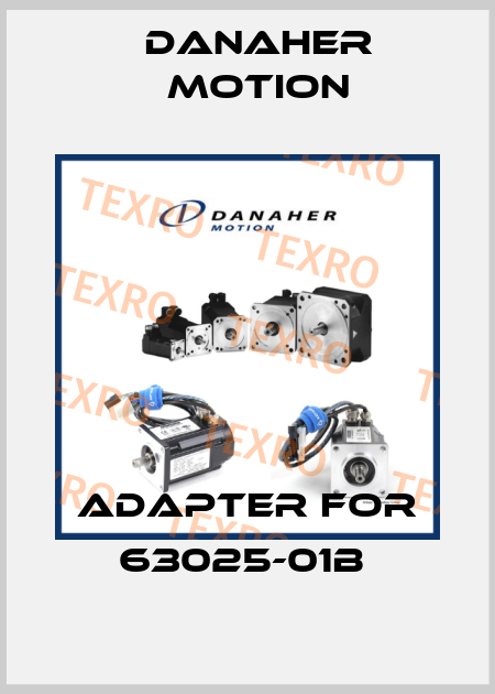 Adapter for 63025-01B  Danaher Motion
