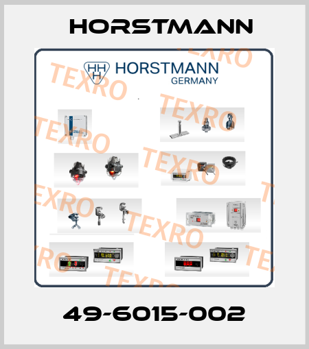 49-6015-002 Horstmann