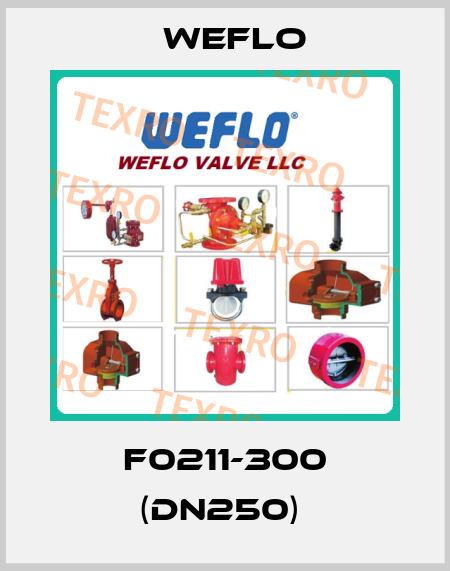 F0211-300 (DN250)  Weflo