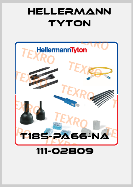 T18S-PA66-NA  111-02809  Hellermann Tyton