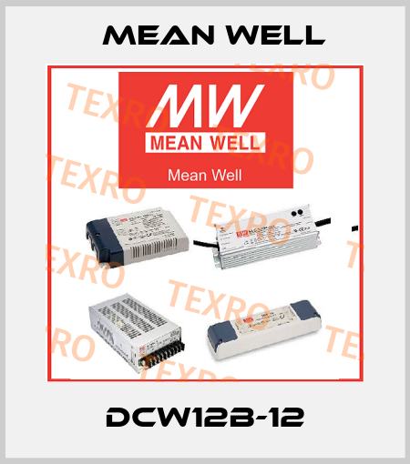 DCW12B-12 Mean Well