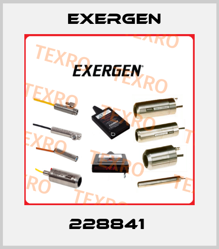 228841  Exergen