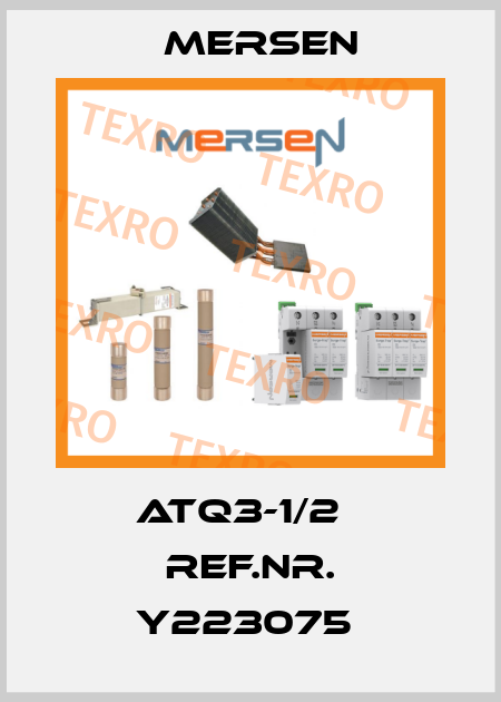 ATQ3-1/2   Ref.Nr. Y223075  Mersen
