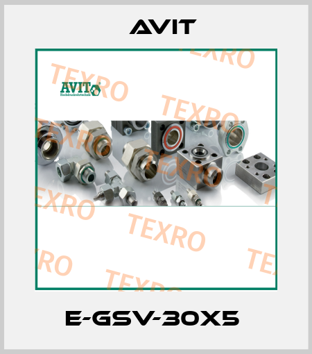 E-GSV-30x5  Avit