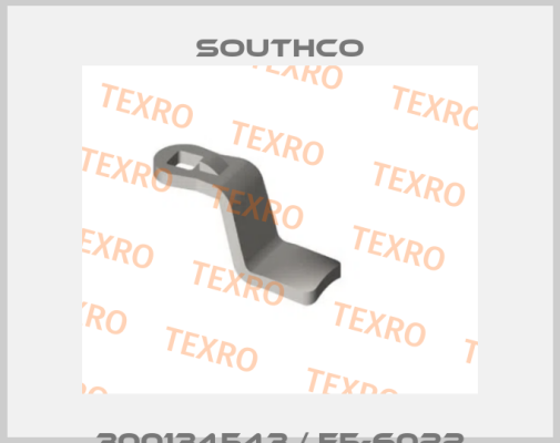 300134543 / E5-6022 Southco