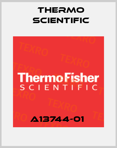 A13744-01  Thermo Scientific
