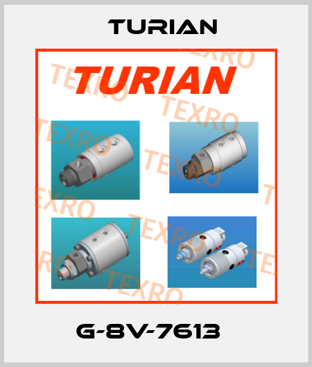 G-8V-7613   Turian