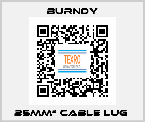 25mm² cable lug  Burndy