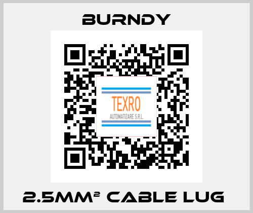 2.5mm² cable lug  Burndy