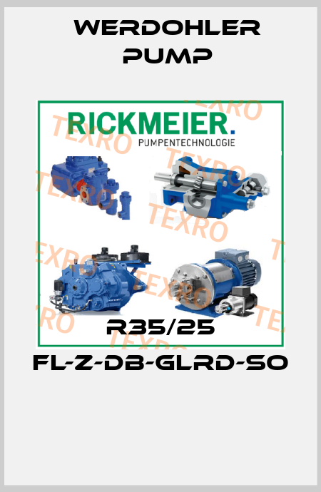 R35/25 FL-Z-DB-GLRD-SO  Werdohler Pump