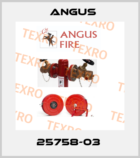 25758-03  Angus