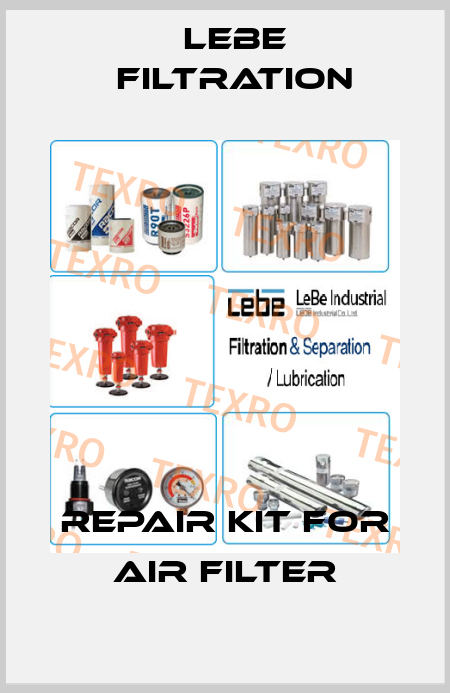 Repair kit for air filter Lebe Filtration