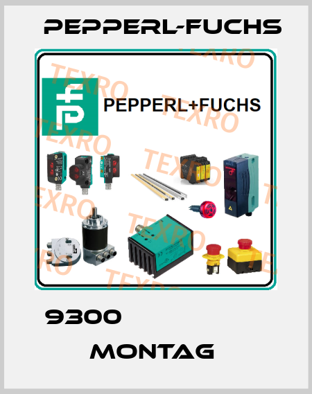 9300                    Montag  Pepperl-Fuchs