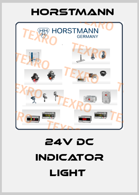 24V DC INDICATOR LIGHT  Horstmann