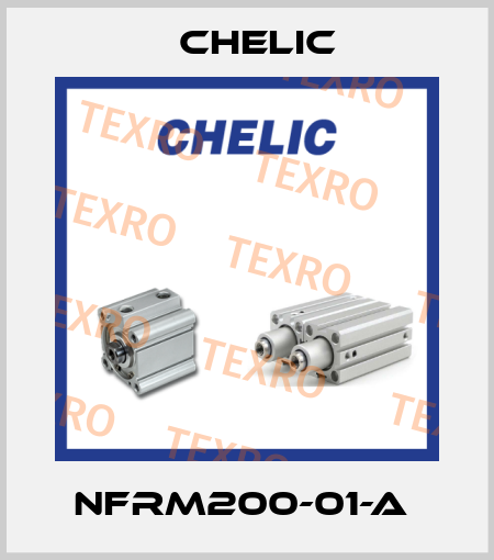NFRM200-01-A  Chelic