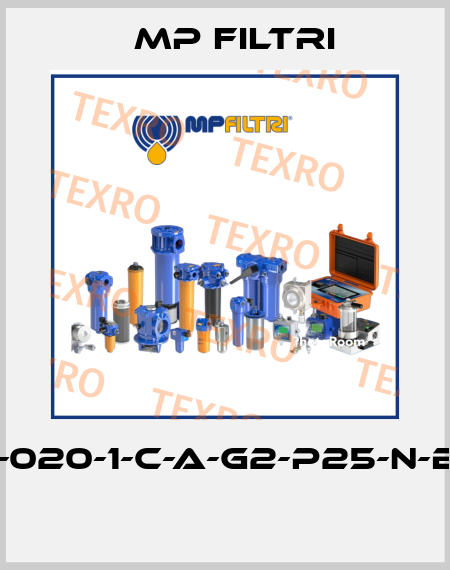 MPT-020-1-C-A-G2-P25-N-B-P01  MP Filtri