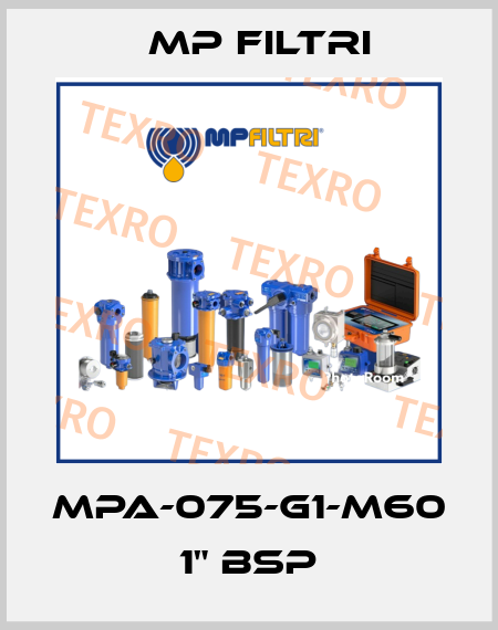 MPA-075-G1-M60    1" BSP MP Filtri