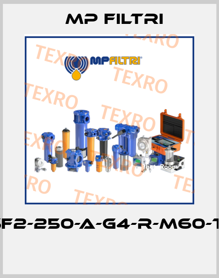 SF2-250-A-G4-R-M60-T1  MP Filtri