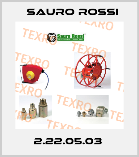 2.22.05.03  Sauro Rossi
