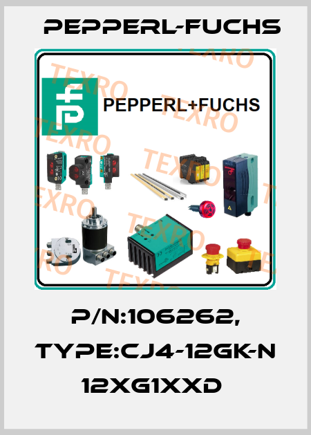 P/N:106262, Type:CJ4-12GK-N            12xG1xxD  Pepperl-Fuchs