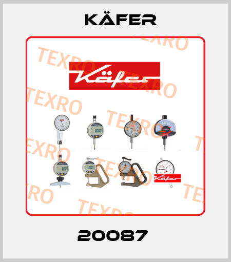 20087  Käfer