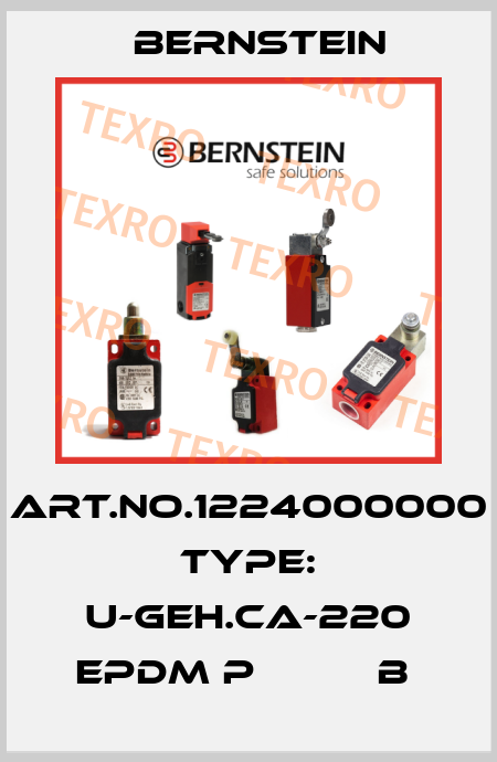 Art.No.1224000000 Type: U-GEH.CA-220 EPDM P          B  Bernstein