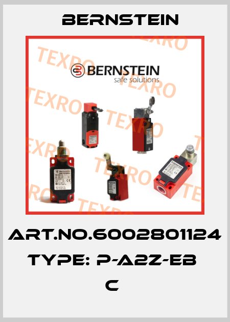 Art.No.6002801124 Type: P-A2Z-EB                     C  Bernstein