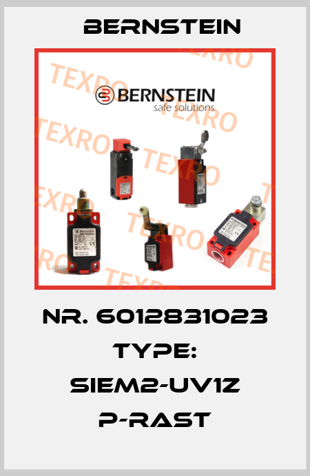 Nr. 6012831023 Type: SIEM2-UV1Z P-RAST Bernstein