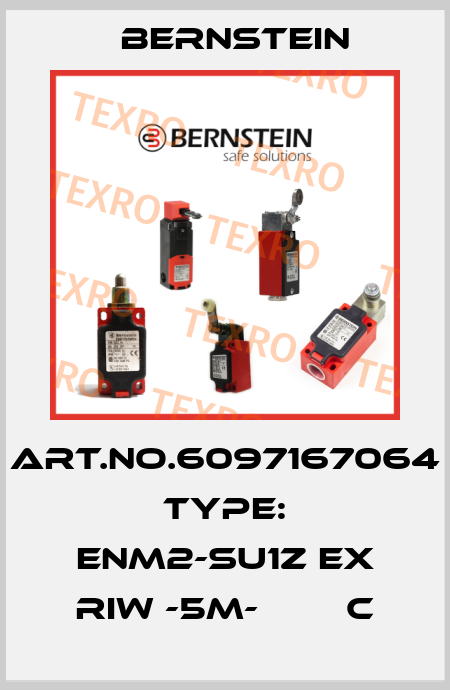 Art.No.6097167064 Type: ENM2-SU1Z EX RIW -5M-        C Bernstein
