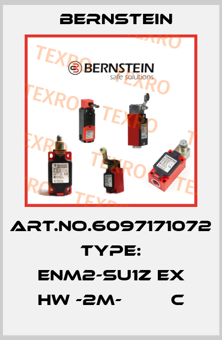 Art.No.6097171072 Type: ENM2-SU1Z EX HW -2M-         C Bernstein