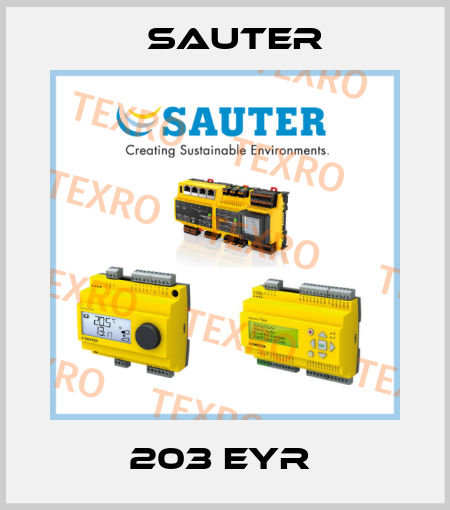 203 EYR  Sauter